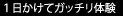 1日かけてガッチリ体験